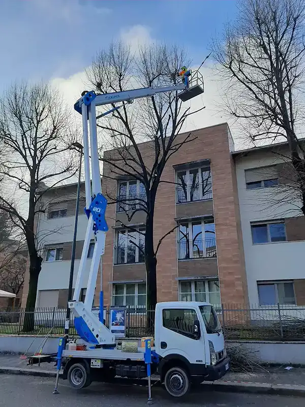 Potatura alberi - nsvgarden srl