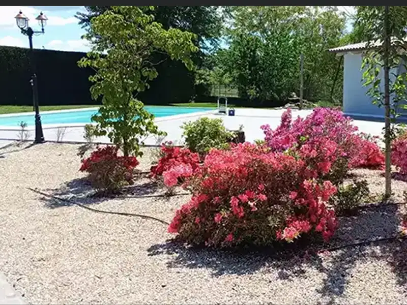 Aiuola giardino con fiori - nsvgarden srl