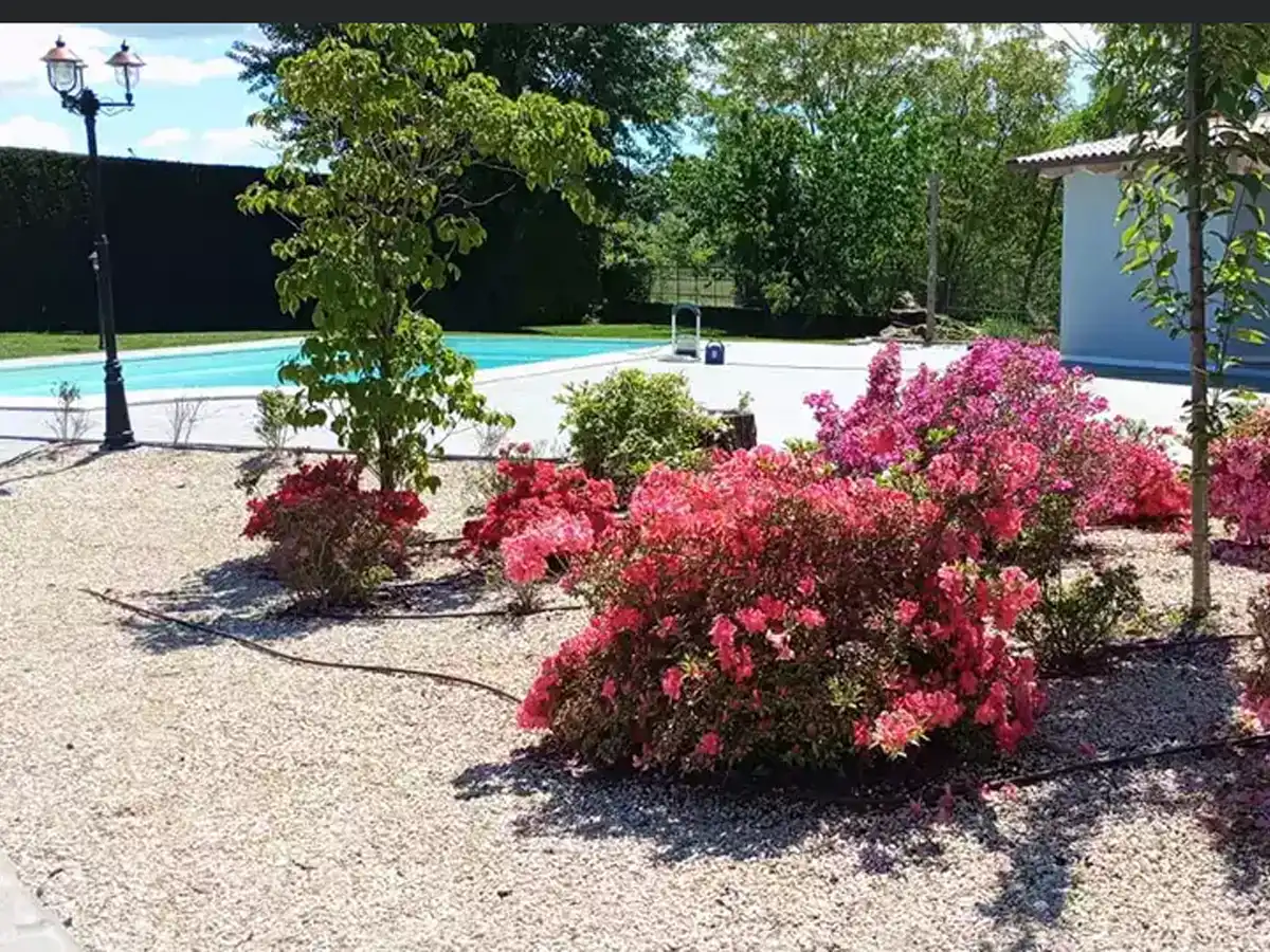 Aiuola giardino con fiori - nsvgarden srl