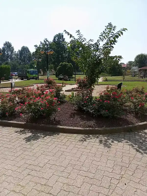 Aiuola - nsvgarden srl
