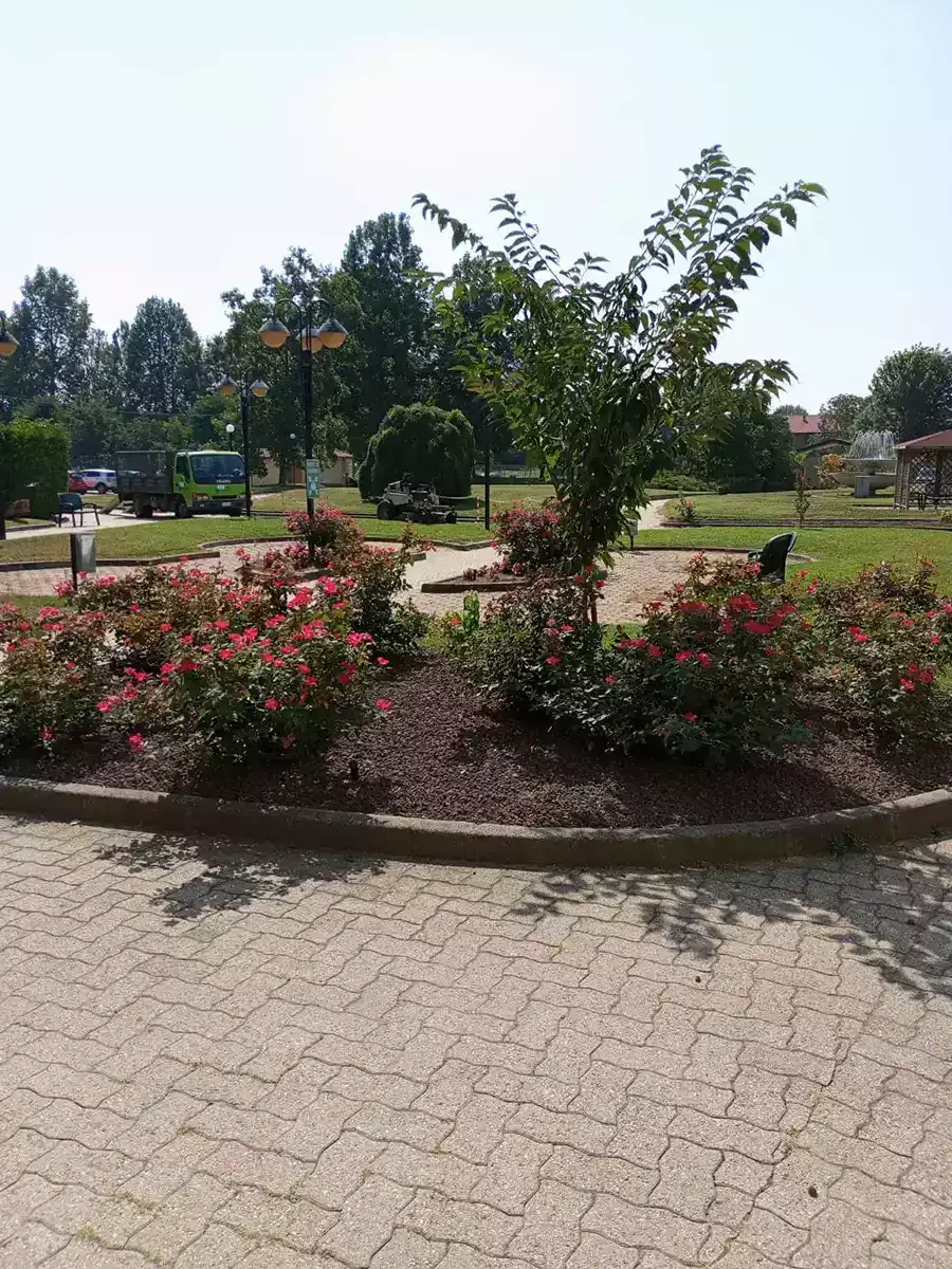 Aiuola - nsvgarden srl