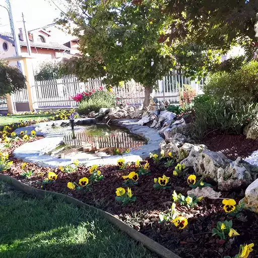 Giardino curato realizzato da NSVGarden Srl