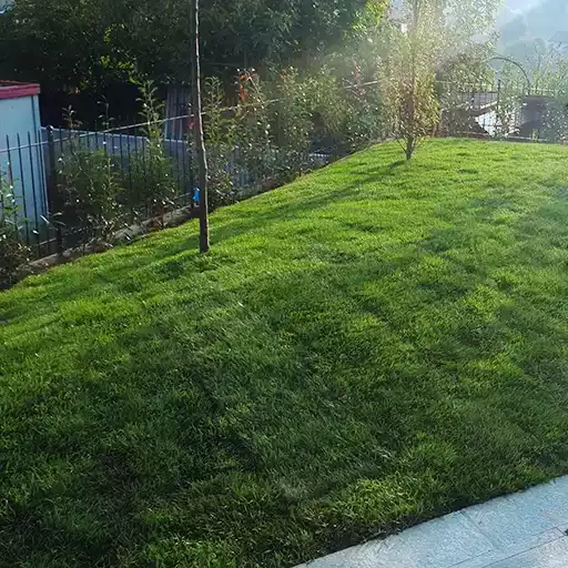 Posa prato a rotoli - nsvgarden srl